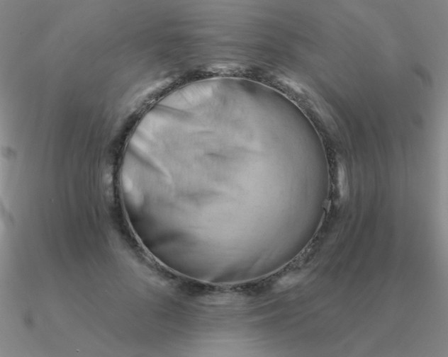 X0000090630696200708071246