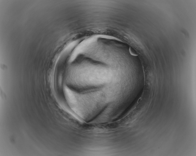 X0000090630697200708071246