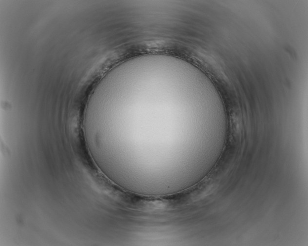 X0000090630698200708071246