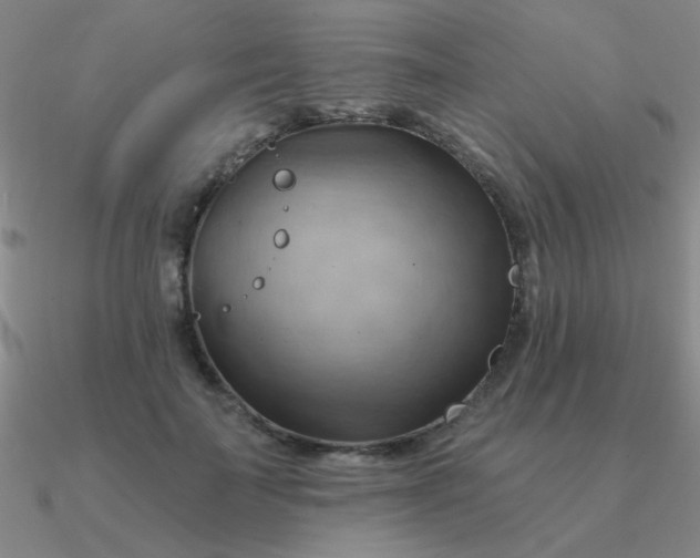 X0000090630699200708071246