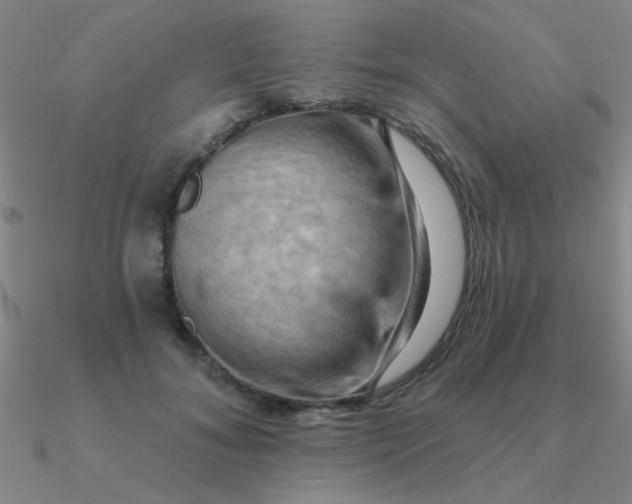 X0000090630700200708071246