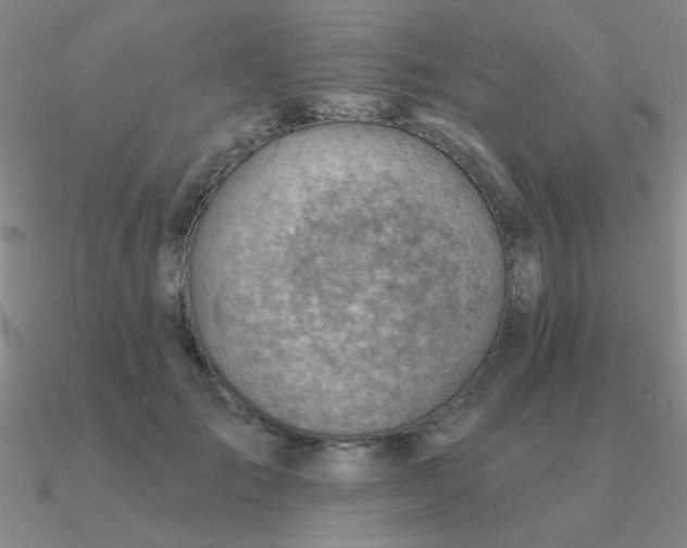 X0000090630701200708071246