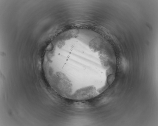 X0000090630703200708071246