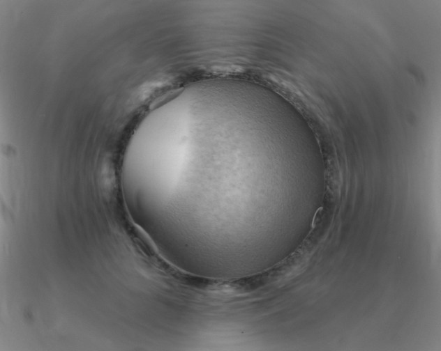 X0000090630704200708071246