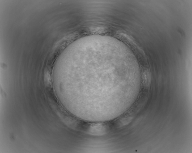 X0000090630705200708071246