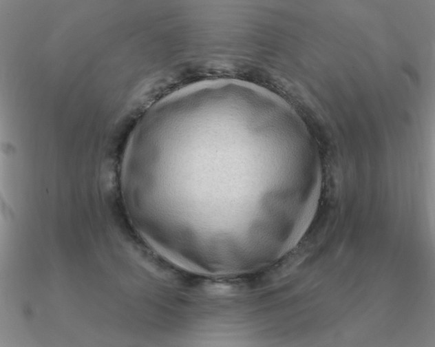 X0000090630706200708071246