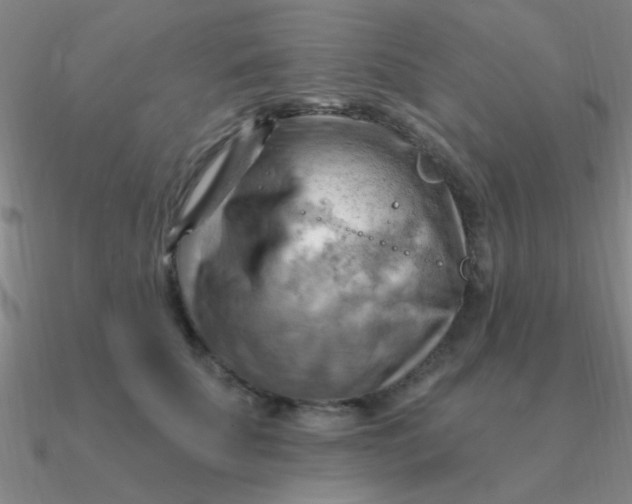 X0000090630707200708071246