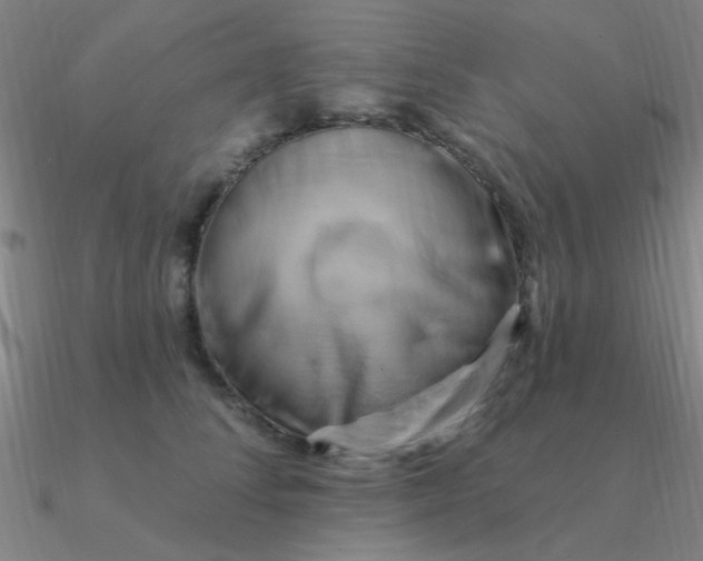 X0000090630708200708071246