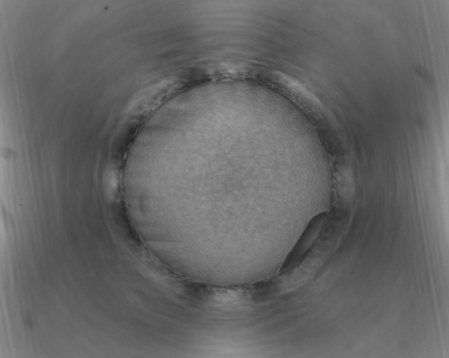 X0000090630709200708071246