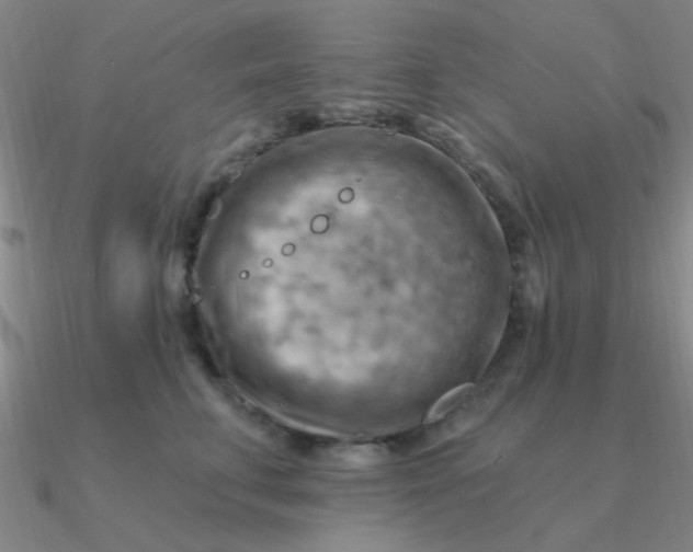 X0000090630711200708071246