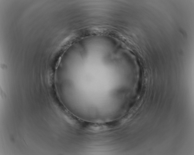 X0000090630712200708071246