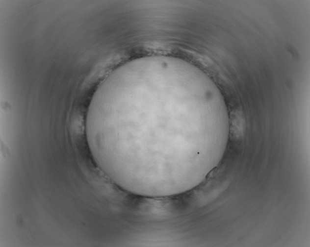 X0000090630713200708071246