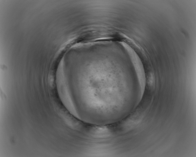 X0000090630715200708071246