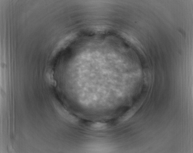 X0000090630718200708071246