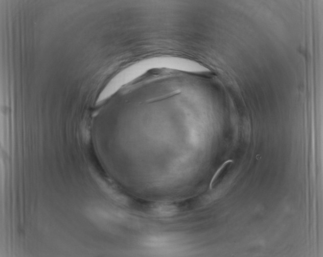 X0000090630719200708071246