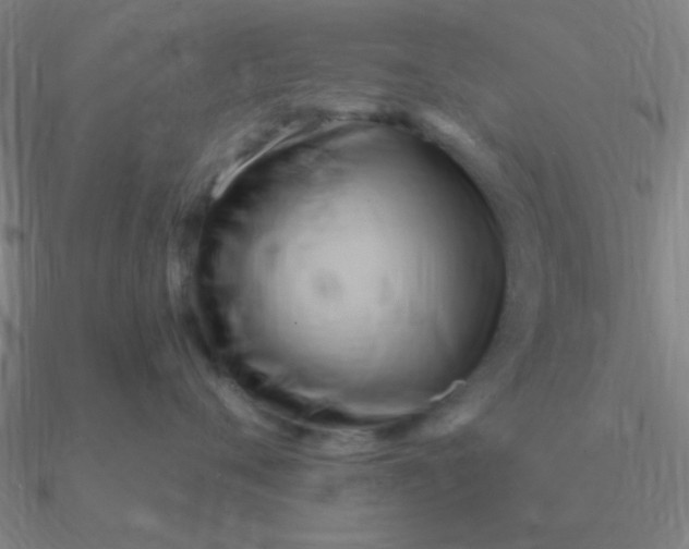 X0000090630720200708071246