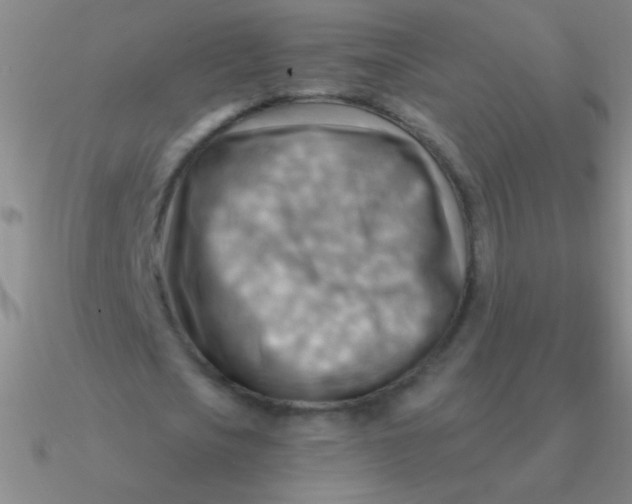 X0000090630721200708071245