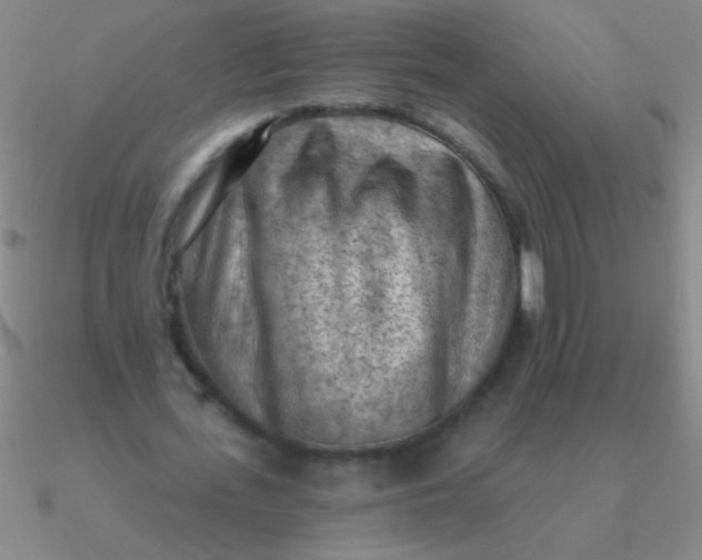 X0000090630723200708071245