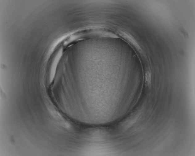 X0000090630724200708071245