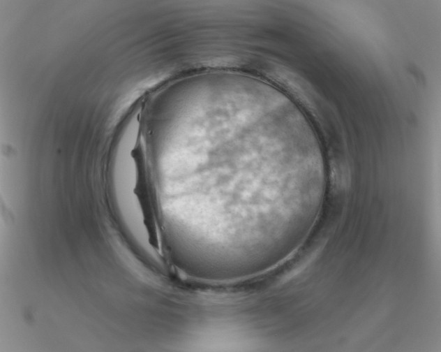 X0000090630725200708071245