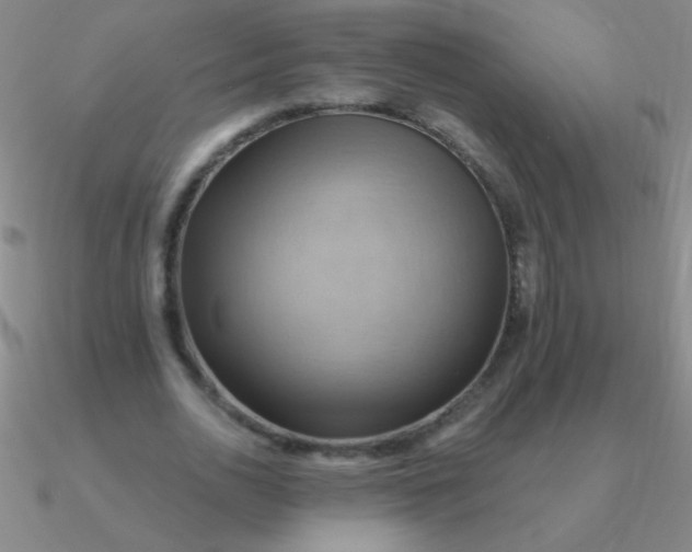 X0000090630726200708071245