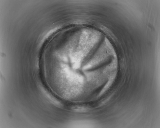 X0000090630727200708071245