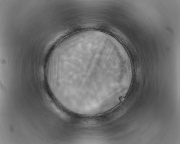 X0000090630729200708071245