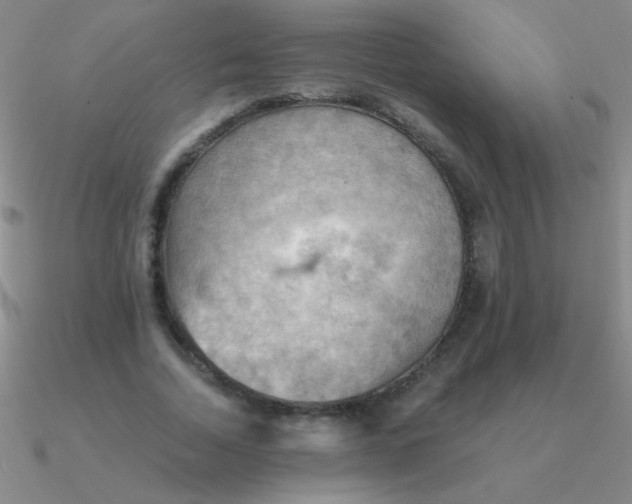 X0000090630730200708071245