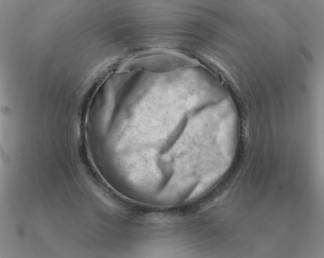 X0000090630733200708071245