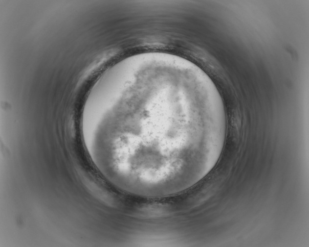 X0000090630734200708071245