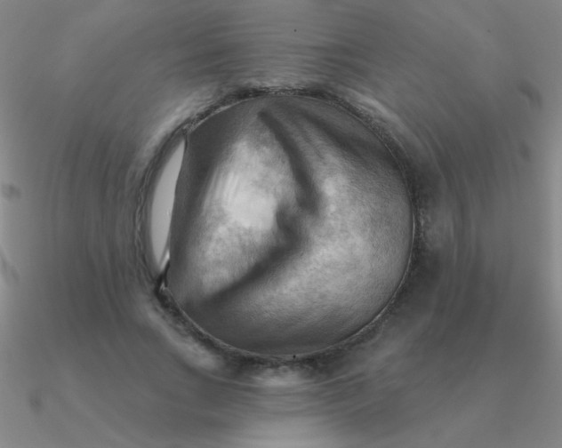 X0000090630735200708071245