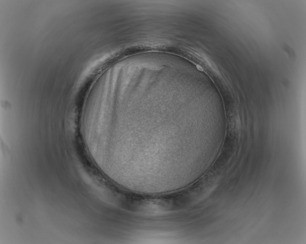 X0000090630736200708071245