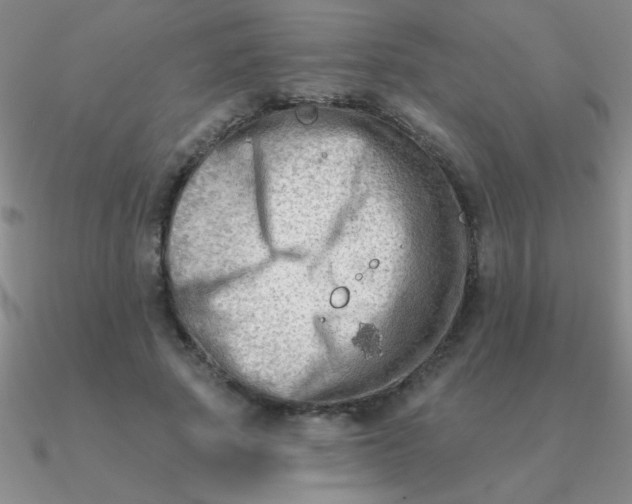 X0000090630737200708071245