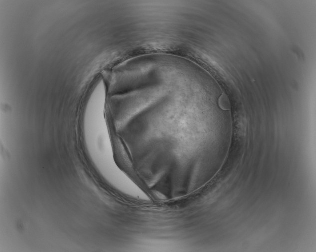 X0000090630738200708071245