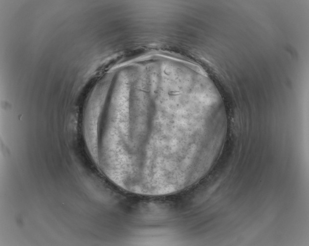 X0000090630739200708071245