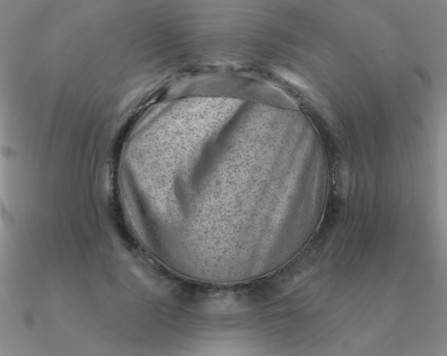 X0000090630740200708071245