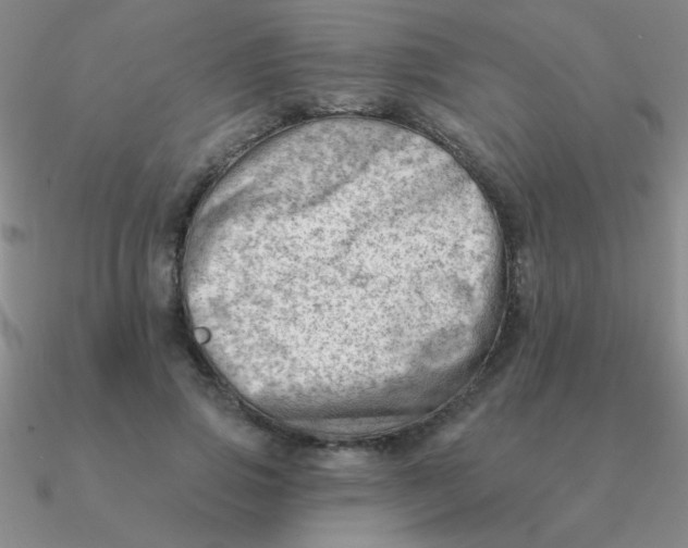 X0000090630741200708071245