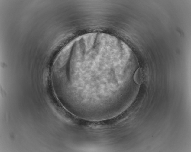 X0000090630742200708071245