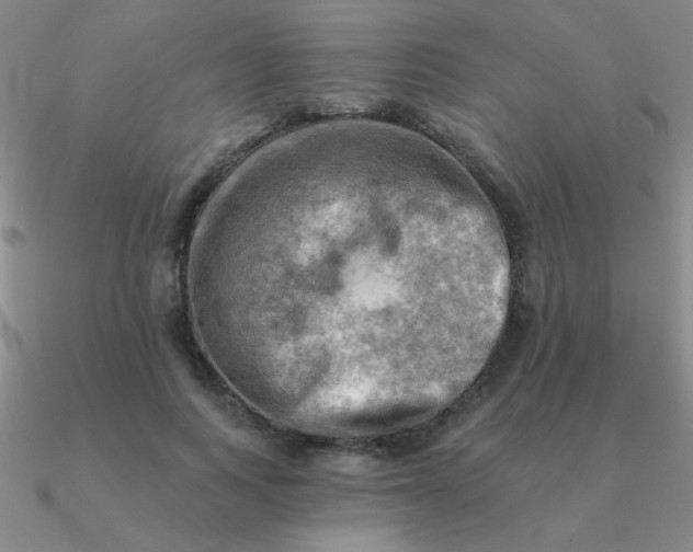 X0000090630743200708071245