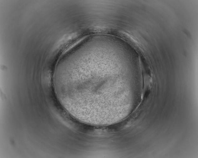 X0000090630744200708071245