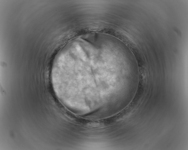 X0000090630745200708071245