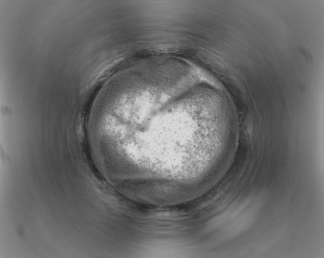 X0000090630746200708071245