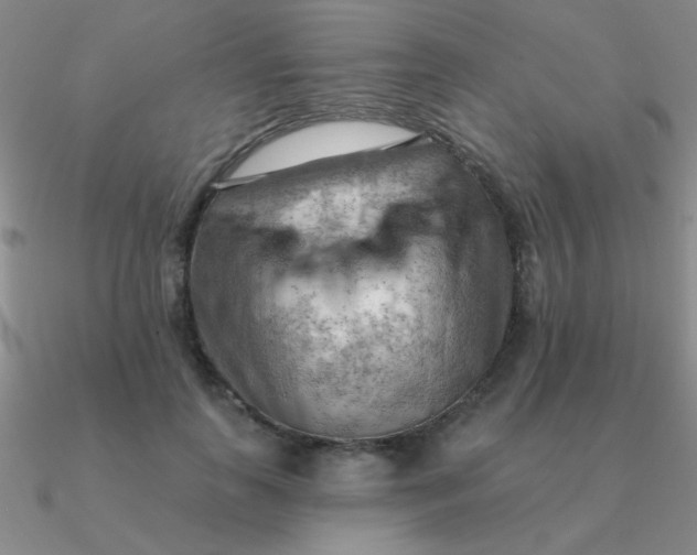 X0000090630747200708071245