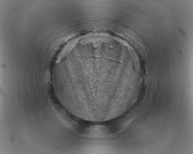 X0000090630748200708071245