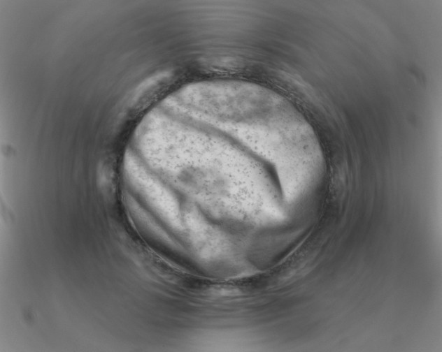 X0000090630749200708071245