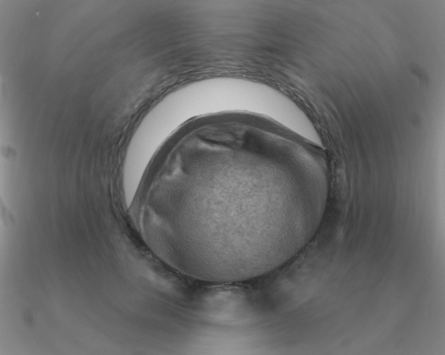 X0000090630750200708071245