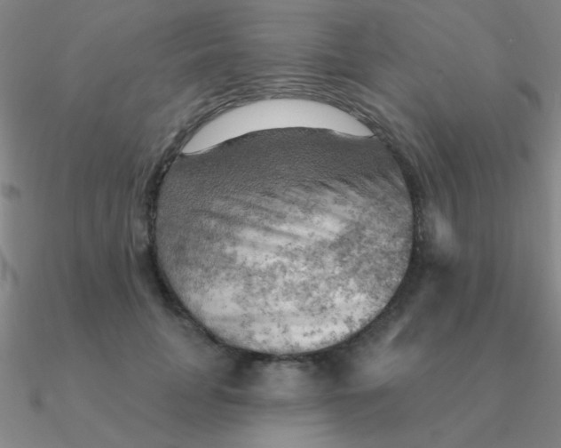 X0000090630751200708071245