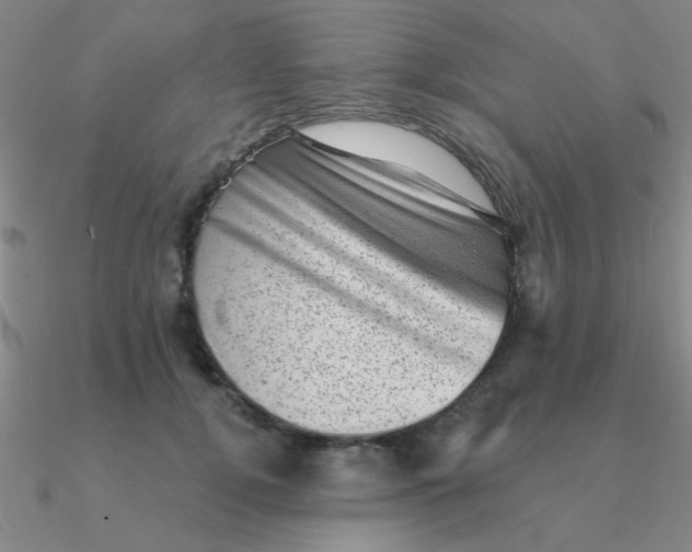 X0000090630752200708071245