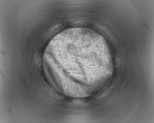 X0000090630753200708071245