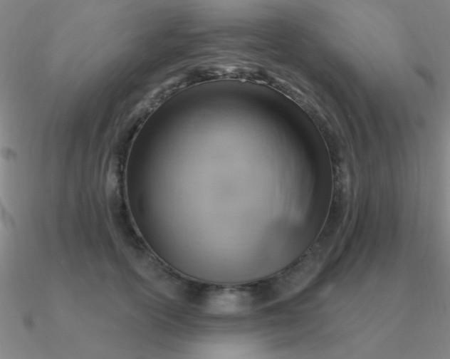 X0000090630754200708071245